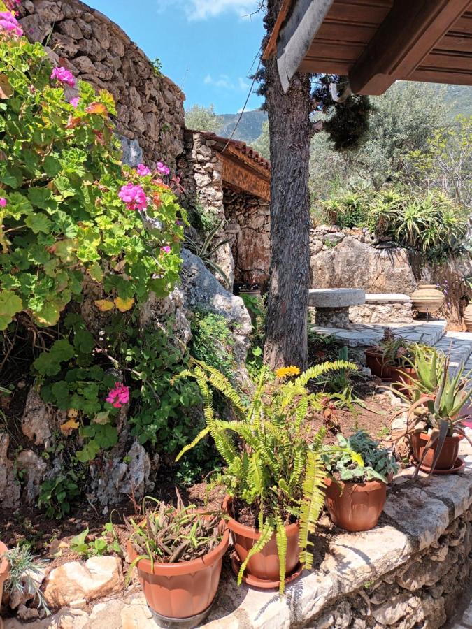 Aphrodite'S Maisonette On Corfu Island Барбати Экстерьер фото